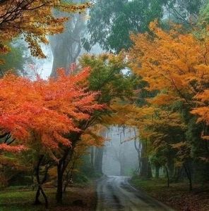 Meet your Posher, Rosa